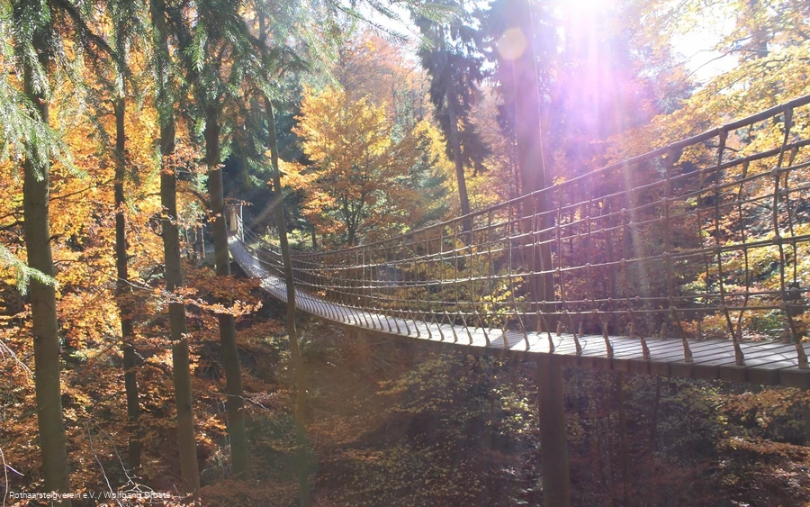 Hängebrücke am Rothaarsteig im Herbst
