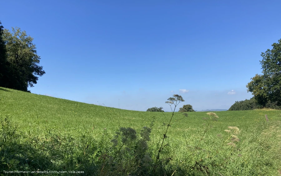 Wiese oberhalb von Grevenbrück 3.jpeg