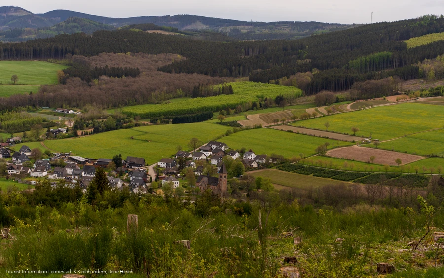 Blick auf Albaum