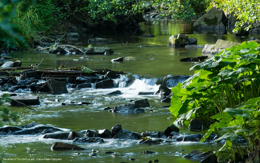 Sommerlichter Medebach