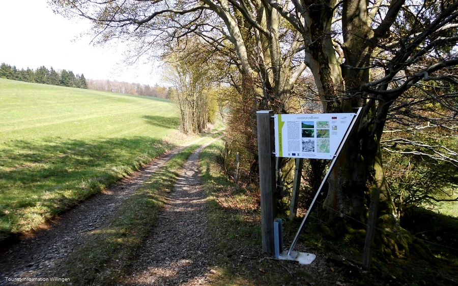 Stationstafel Goldspur Eimelrod