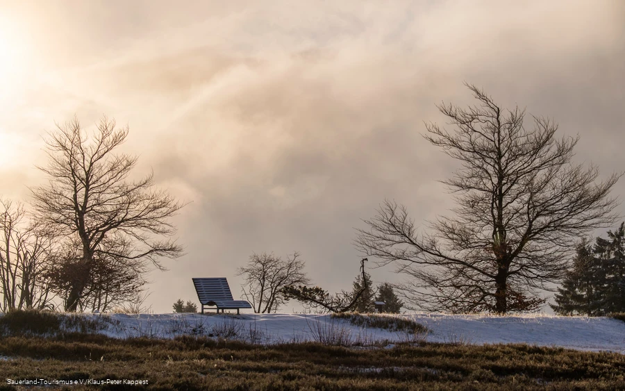 Wintermorgen auf dem Kahlen Asten mit einer Bank Wintermorgen auf dem Kahlen Asten mit einer Bank