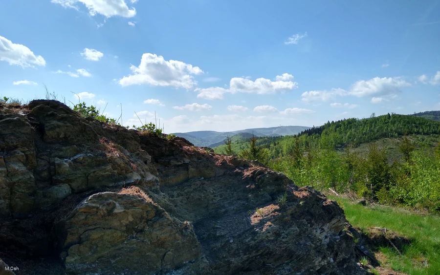 IMG_20220511_114153616_HDR.jpg