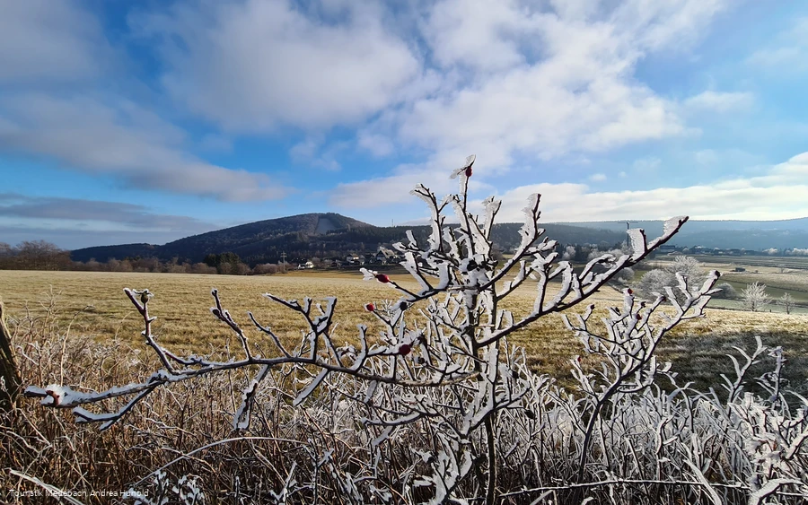 Eiszauber in Küstelberg