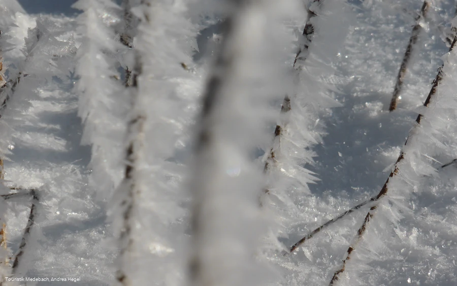 Winter in Medebach