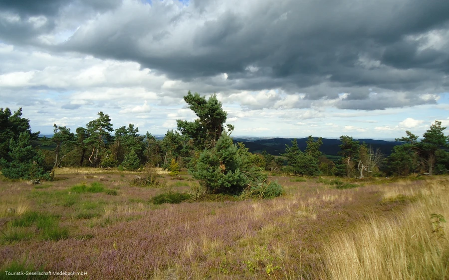 Hochheidelandschaft