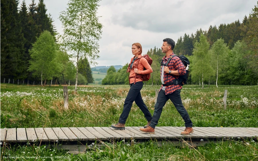 Steg auf dem Rothaarsteig bei Küstelberg