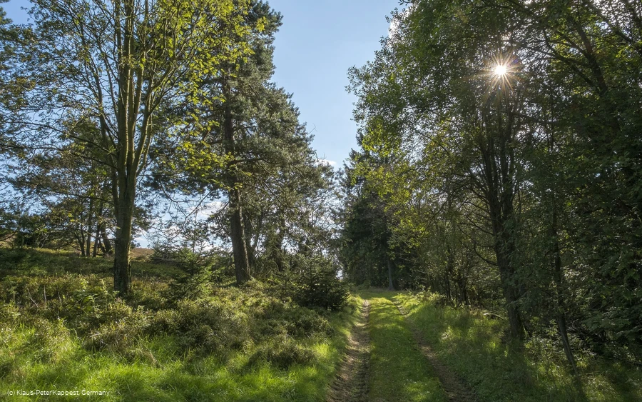 Graswanderweg in Willingen
