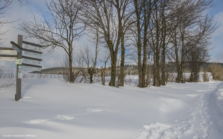 Winterwanderung in der Urlaubsregion Medebach