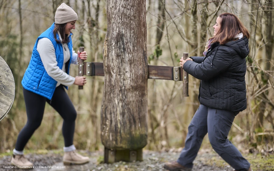 Zwei Frauen versuchen einen Baum abzusägen