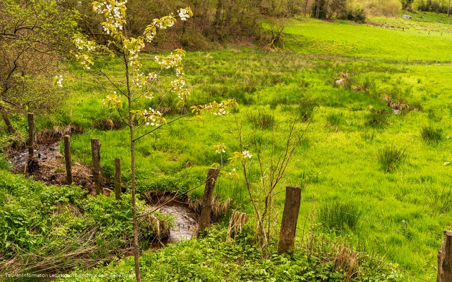 Flussverlauf Lütke Aa