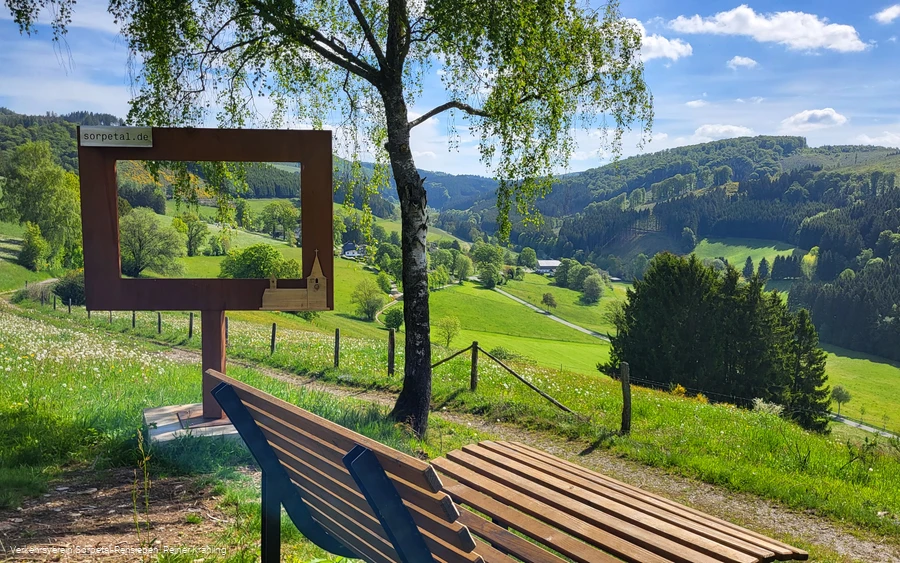 Bilderrahmen-Mittelsorpe.jpg