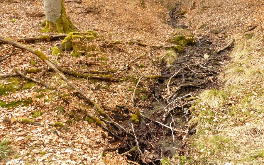 Anfang April unterwegs auf dem Hessebergrundweg