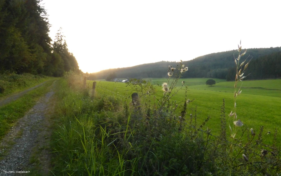 Wanderung auf dem M2 um den Hesseberg.