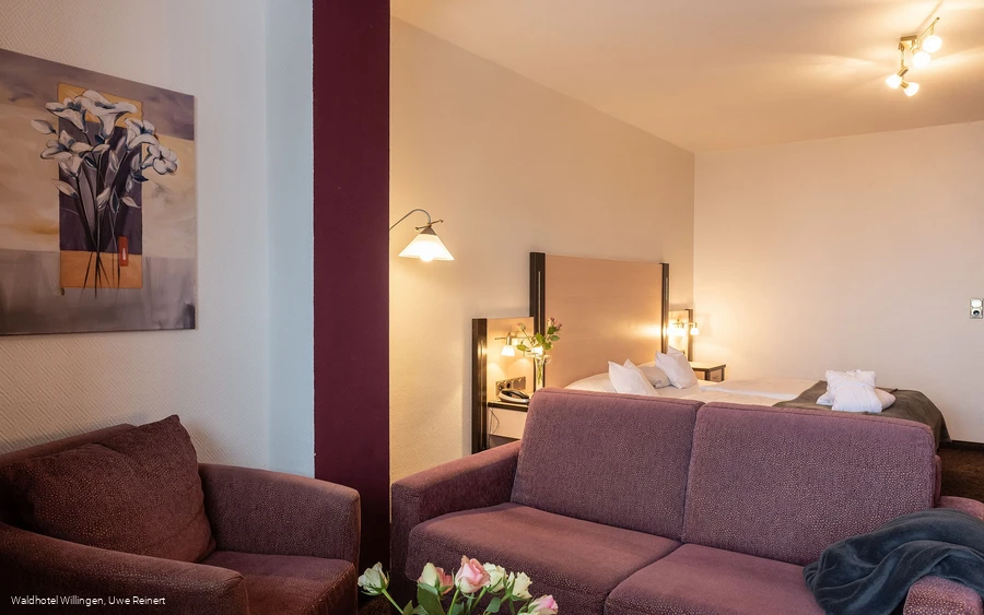 Waldhotel Willingen Komfort Doppelzimmer