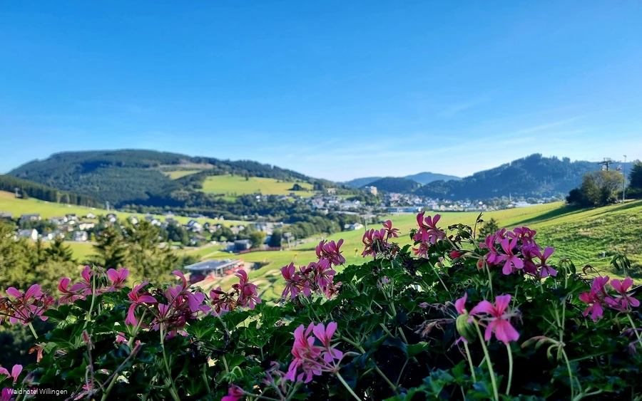 Waldhotel Willingen Aussicht 2.jpg Waldhotel Willingen Aussicht 2.jpg