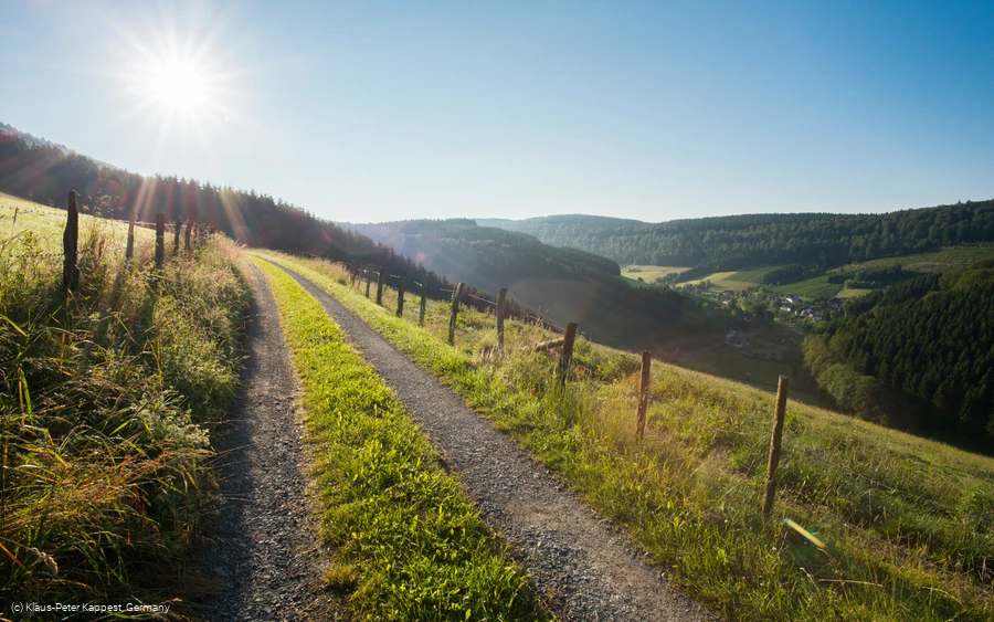 Blick auf das Sorpetal