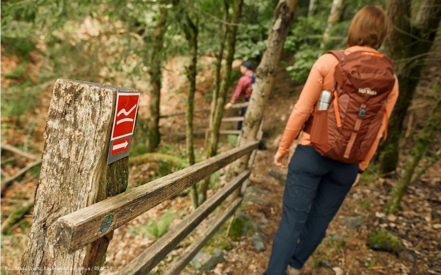 Pfad bei Wagenschmier auf dem Rothaarsteig