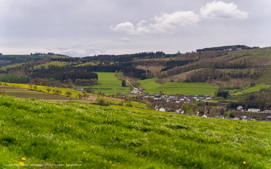 Blick auf Albaum