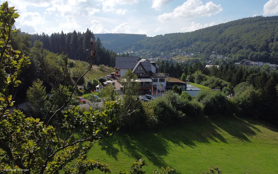 Waldhotel Willingen Außenansicht 4.JPG