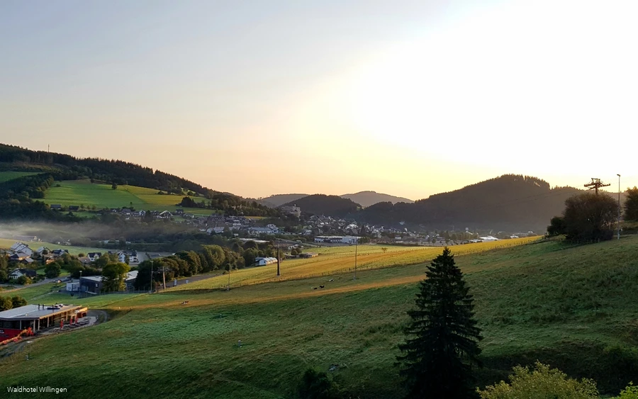 Waldhotel Willingen Aussicht.jpg