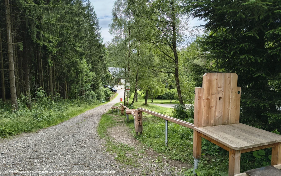 Kirchhundem-Ahe_Käfer_und_Knirpe_Pfad__Verena_Meinhardt_Tourist-Information_Lennestadt&Kirchhundem_IMG_20260702_154112448_HDR.jpg