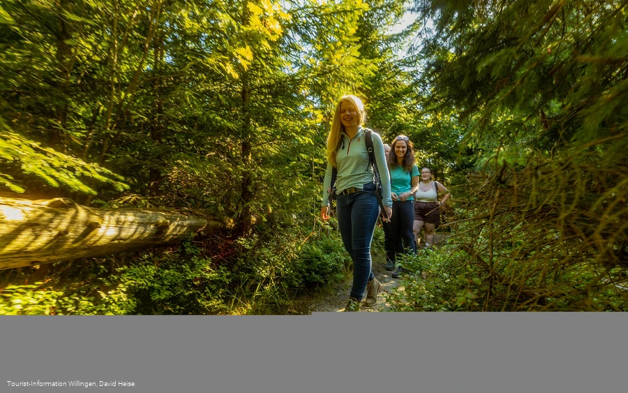 Wandergruppe im Wald