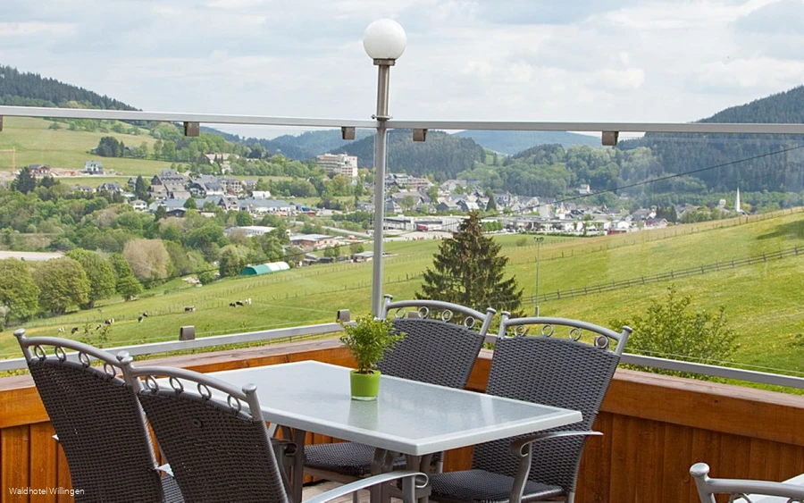Waldhotel Willingen Terrasse.jpg