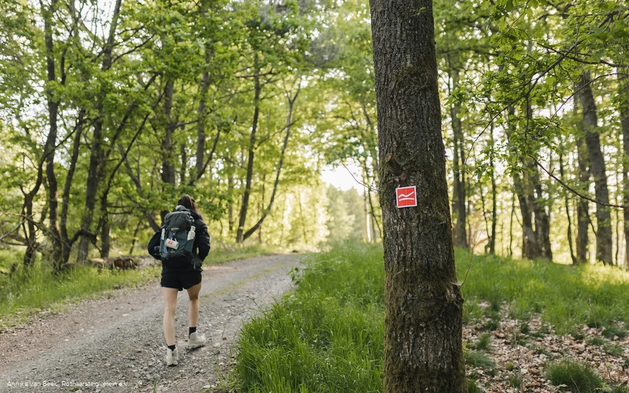 Frau auf dem Rothaarsteig im Wald
