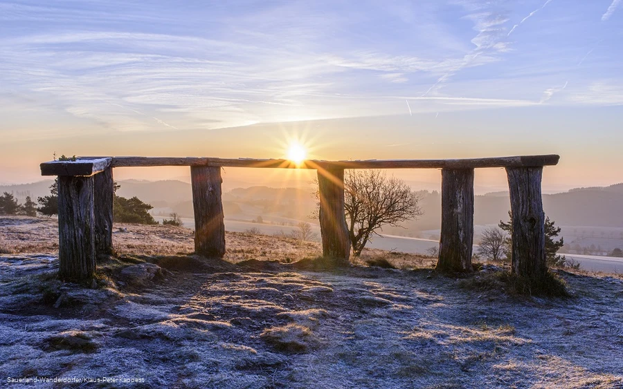Blick vom Osterkopf in Willingen in eine Frostlandschaft
