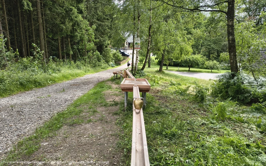 Murmelbahn_Kirchhundem-Ahe_Käfer_und_Knirpe_Pfad__Verena_Meinhardt_Tourist-Information_Lennestadt&Kirchhundem_IMG_20260702_154207261_HDR~2.jpg