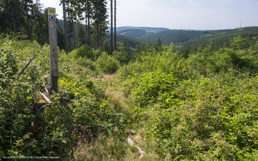 Aufstieg vom Krenkeltal zum Rothaarsteig