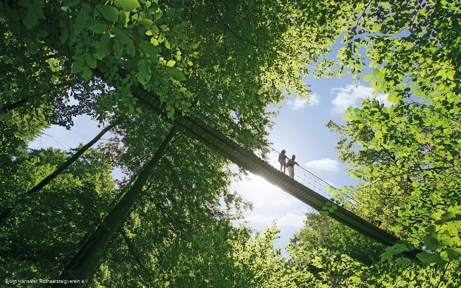 Hängebrücke am Rothaarsteig bei Kühhude