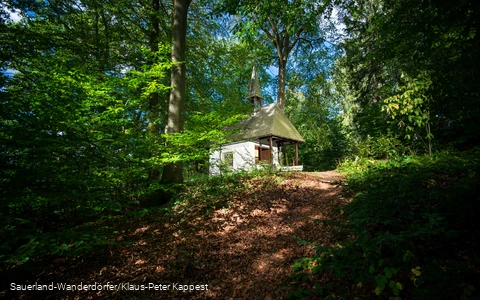 Blick auf die Friedenskapelle mitten im Wald, die von der Sonne angestrahlt wird