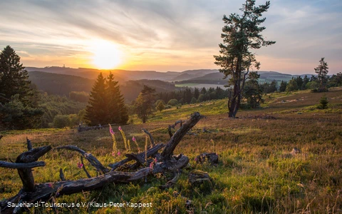 Hocheidelandschaft Kahle Pön