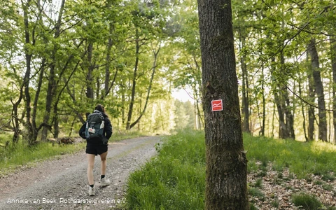 Wanderin auf einem Schotterweg auf dem Rothaarsteig