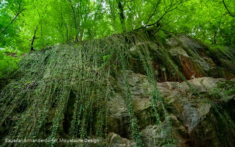 Blick nach oben auf die Felswand im Steinbruch Peperburg