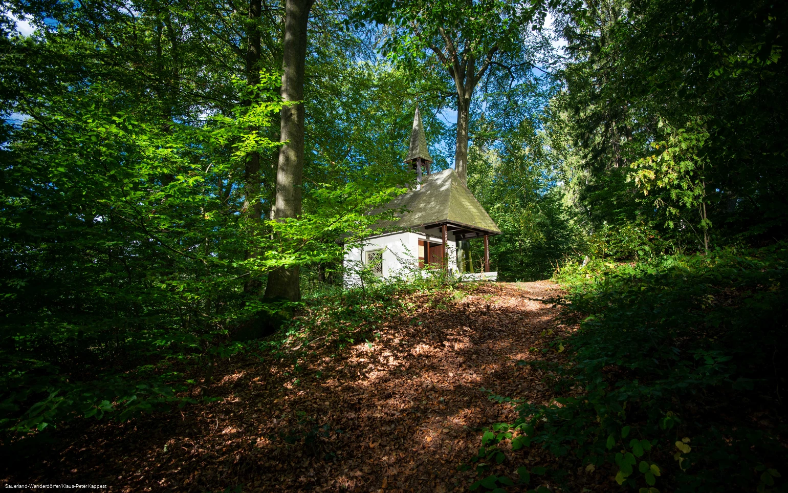 Blick auf die Friedenskapelle mitten im Wald, die von der Sonne angestrahlt wird