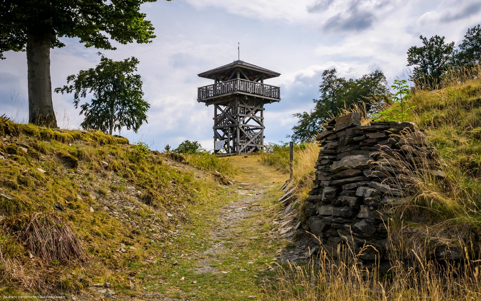 Blick auf den Turm auf dem Gelände der Schwalenburg