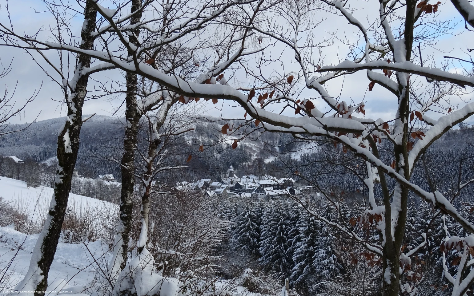 Blick auf den Ortskern von Nordenau