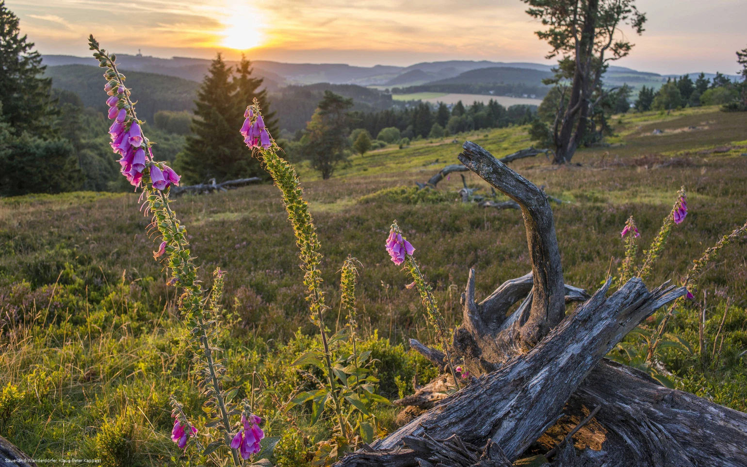 Blick von der Hochheide in den Sonnenuntergang