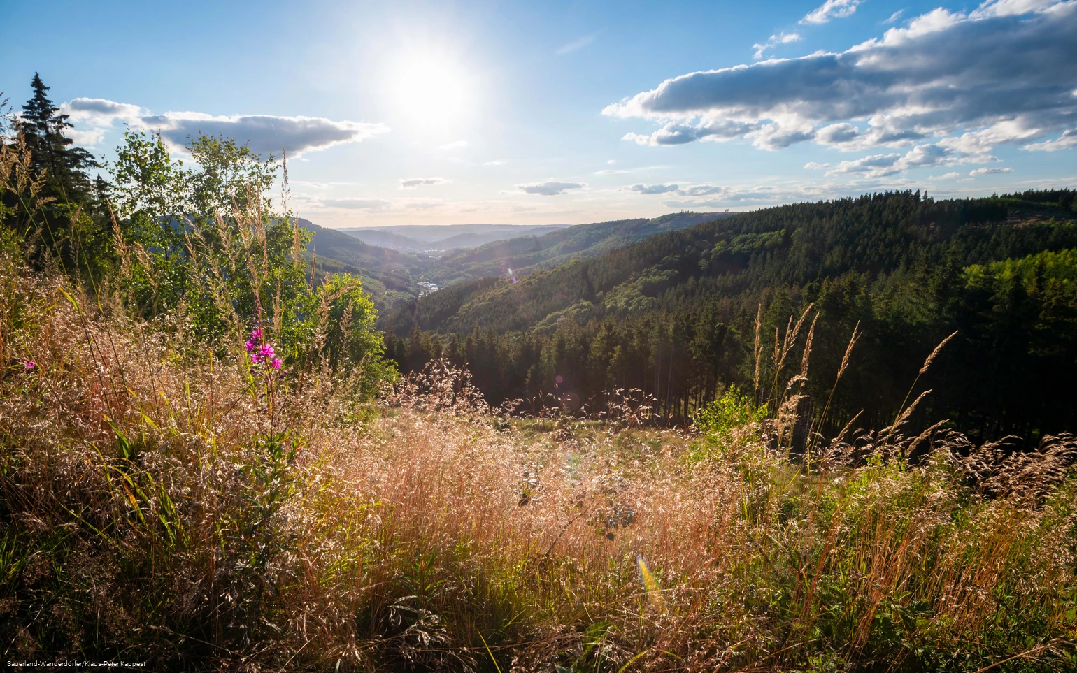 Blick ins Tal mit leichten Sommerwolken vom Ginsterkopf