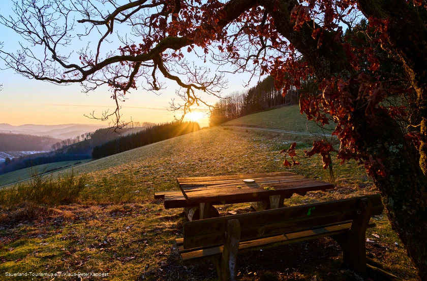 Winterlicher Sonnenuntergang mit einer Bank im Vordergrund