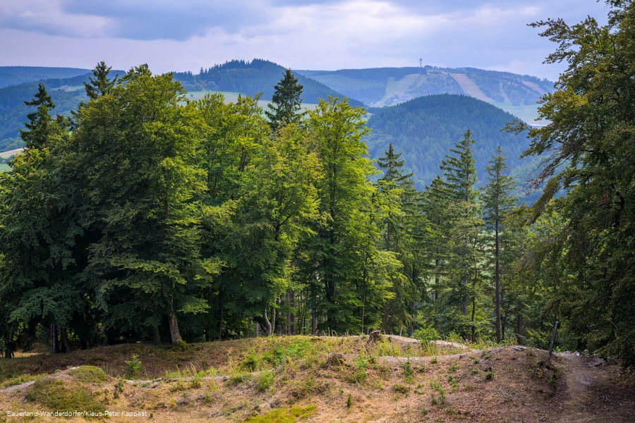 Weotblick auf den Ettelsberg vom Turm auf dem Gel&auml;nde der Schwalenburg