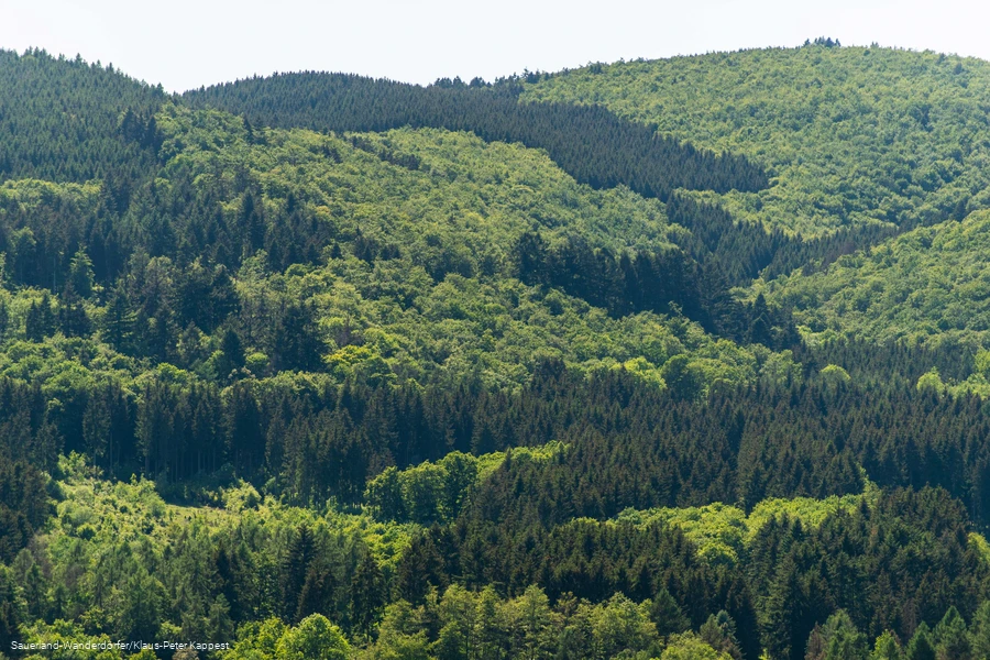 Blick auf die Himmelss&auml;ulen aus der Ferne