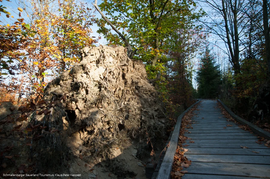 Kyrillpfad in der Abendd&auml;mmerung