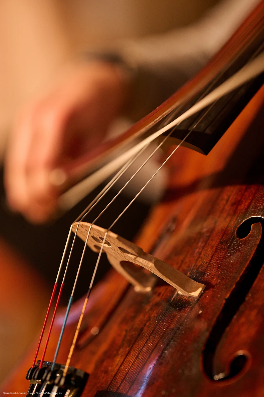 Nahaufnahme eines Cellos