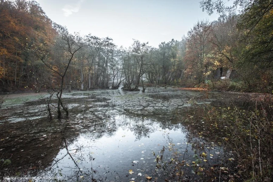 Almequellen im Herbst