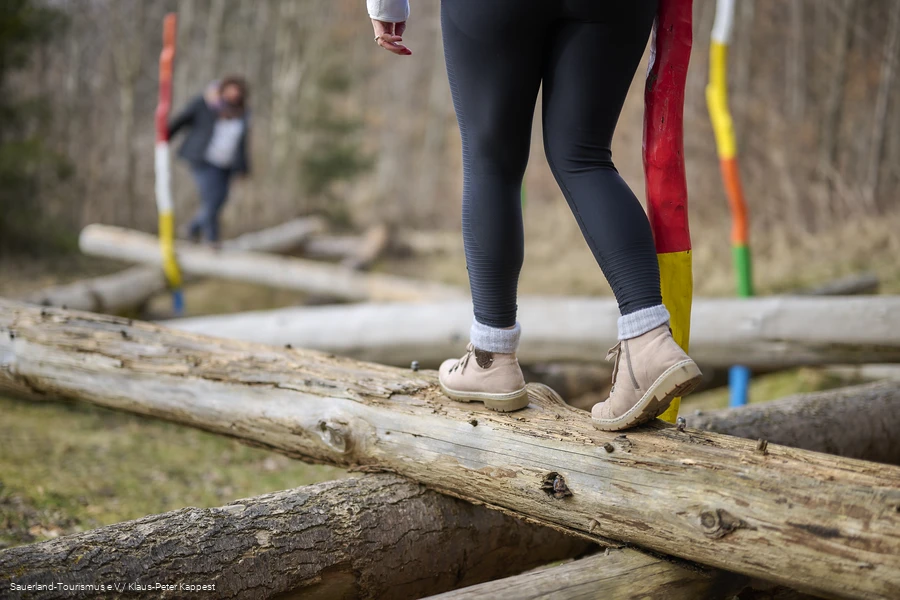 F&uuml;&szlig;e balancieren &uuml;ber ein gro&szlig;es Baummikado