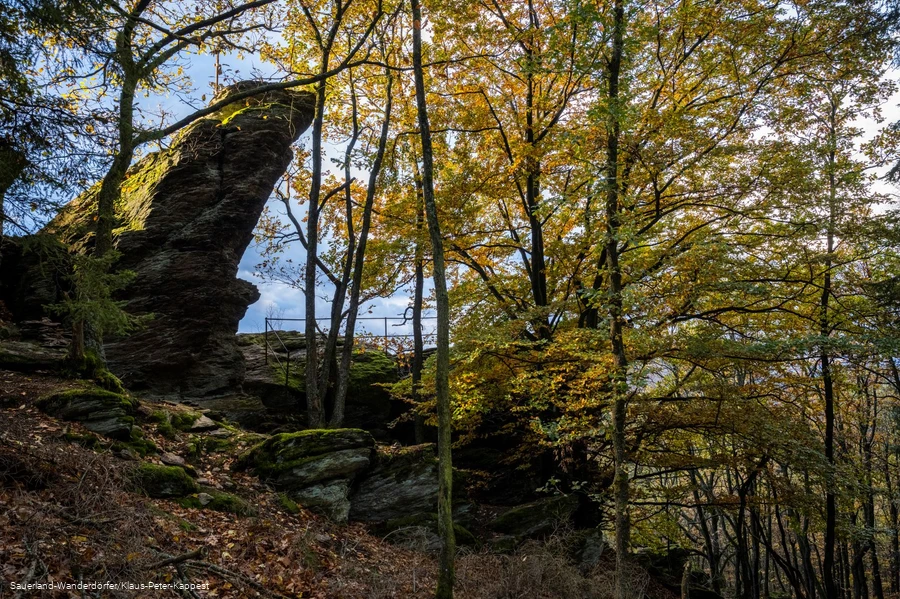 Ein schroffer Felsen im Buchenwald